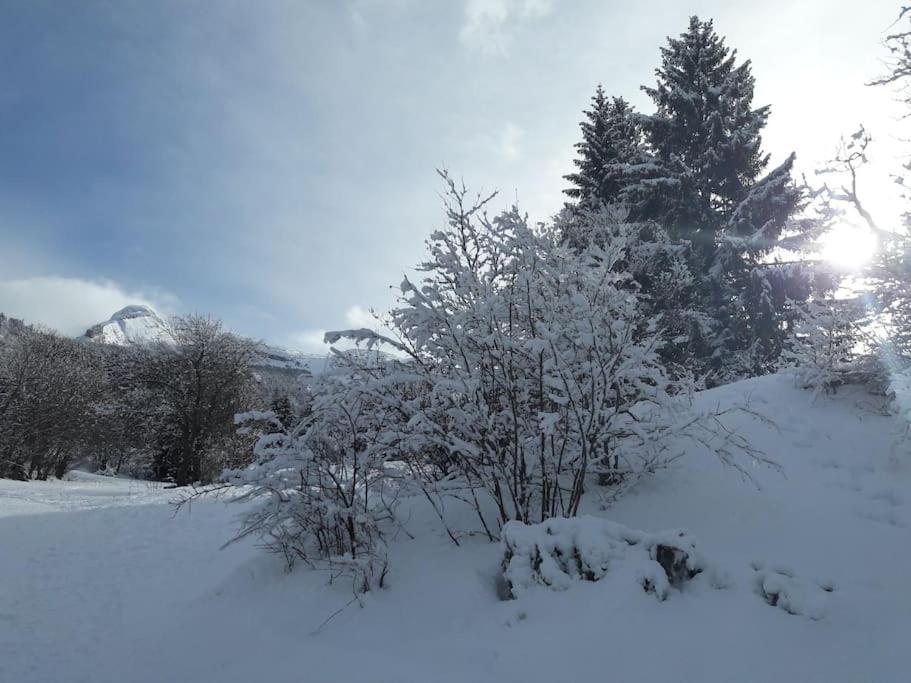 Duplex 59M2 - Proche Centre - Balcon Plein Sud Apartment Corrençon-en-Vercors Exterior photo